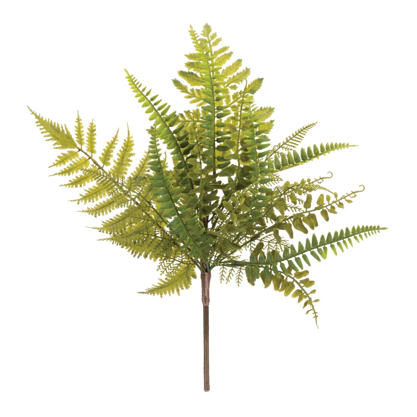 MIXED FERN SPRAY (6)