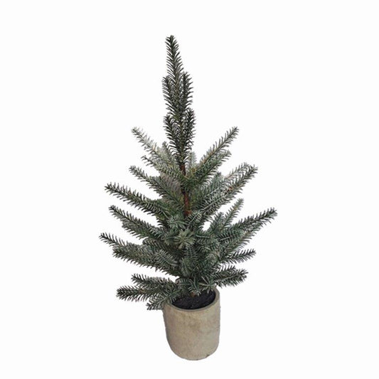 POTTED PINE TREE (2)