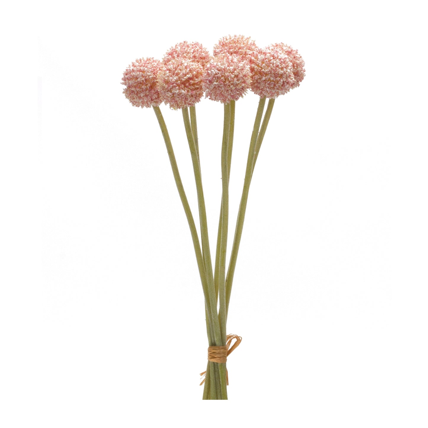 PINK POMS BUNDLE (6)