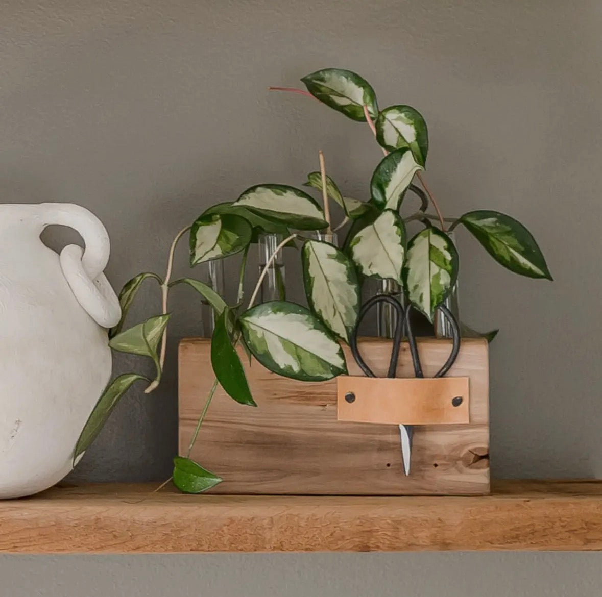 WOODEN PROPAGATION STAND