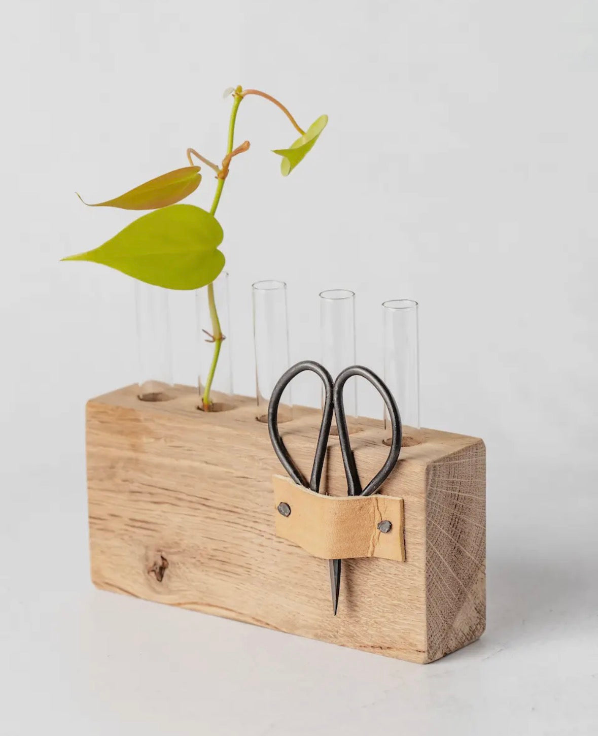WOODEN PROPAGATION STAND